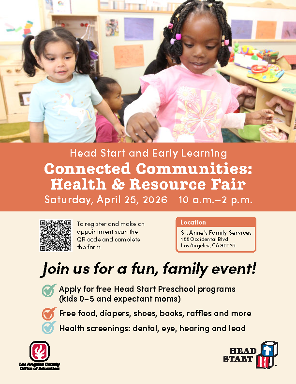 Flyer6